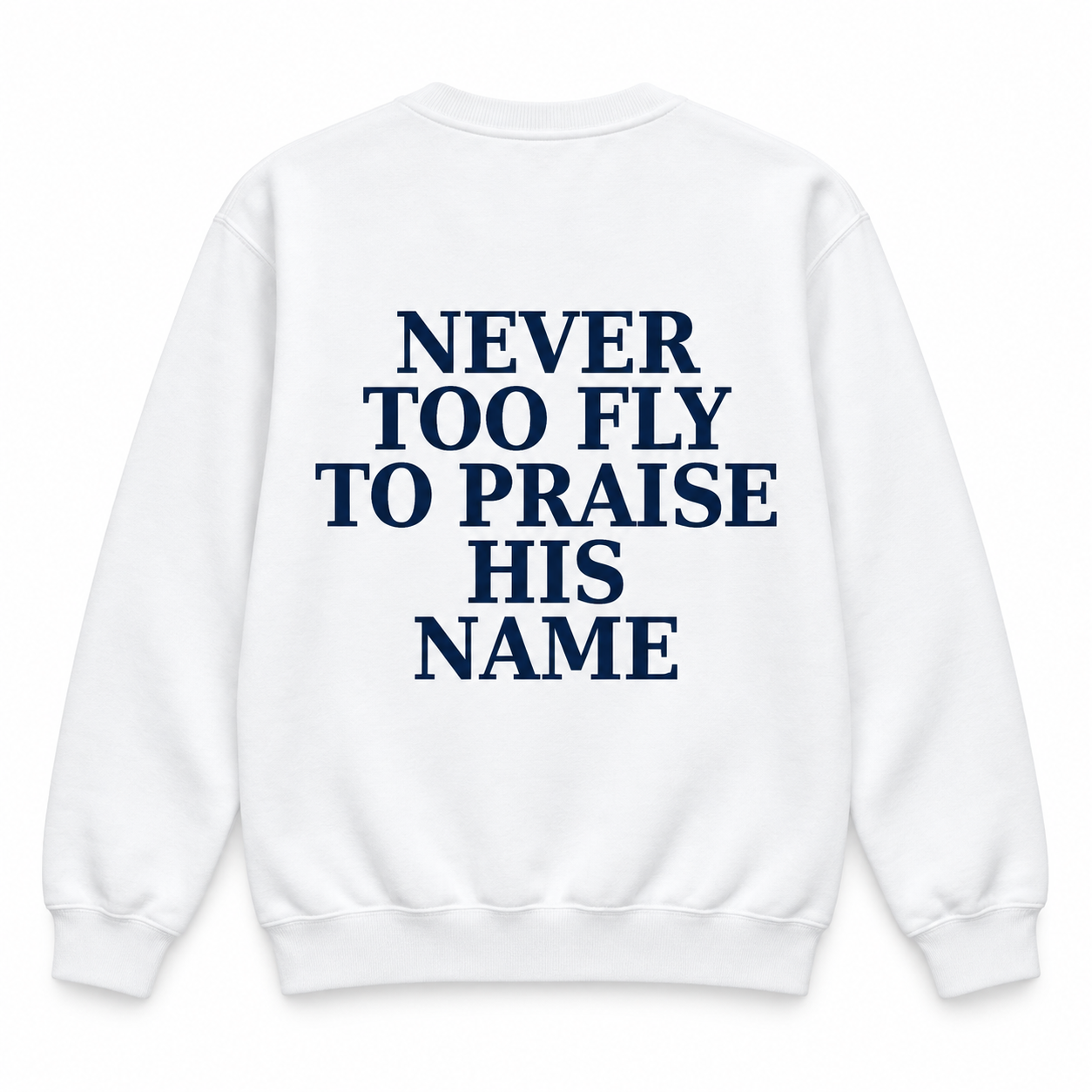 Never Too Fly to Praise His Name™ | Front + Back Faith Tee & Sweatshirt