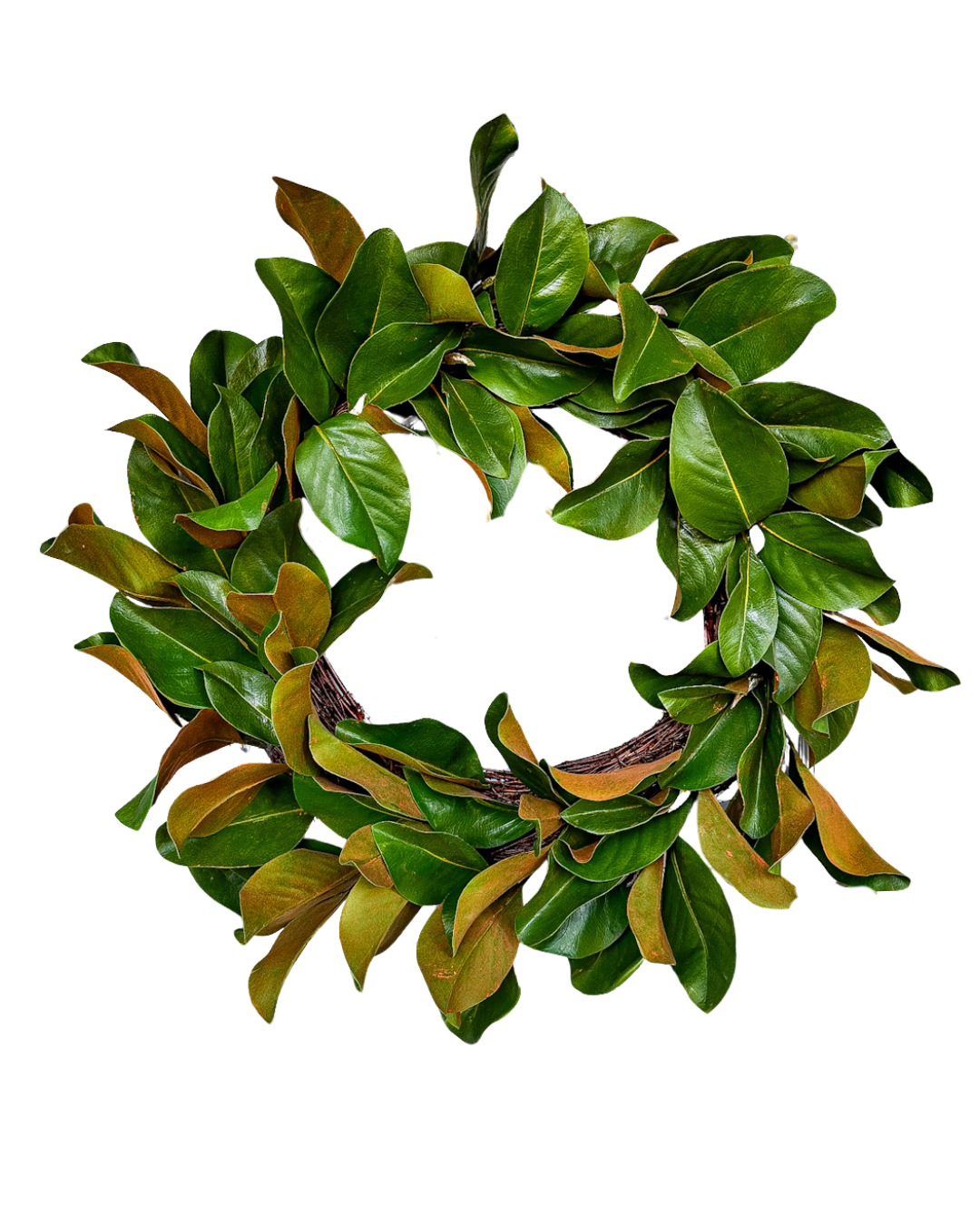 Magnolia Wreath